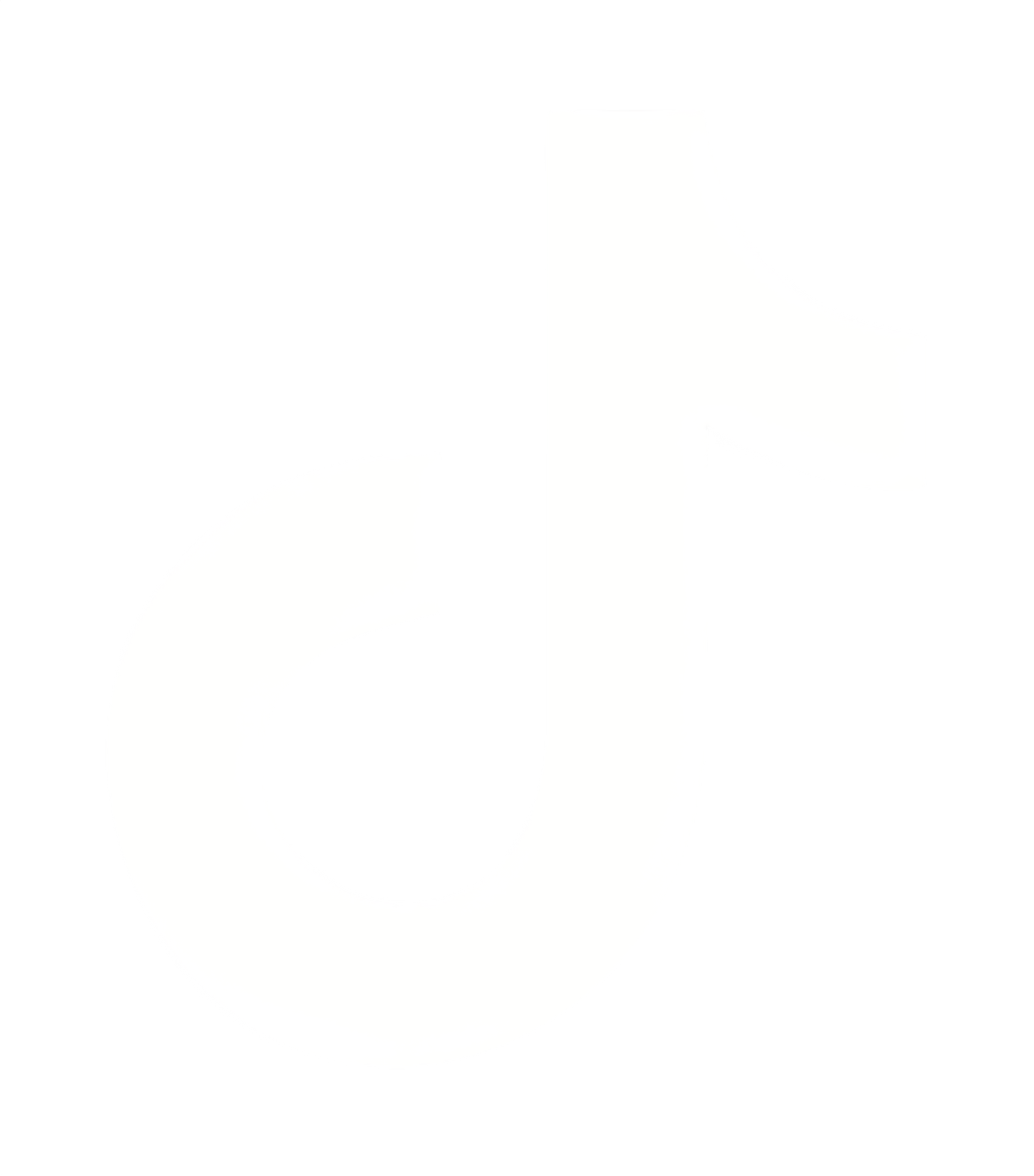 tiktok icon